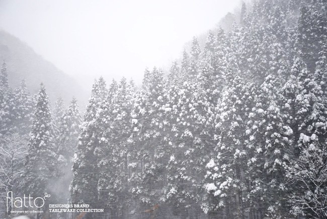 北陸自動車道からの雪景色
