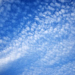 臨時休業のお知らせ 2017/09/13