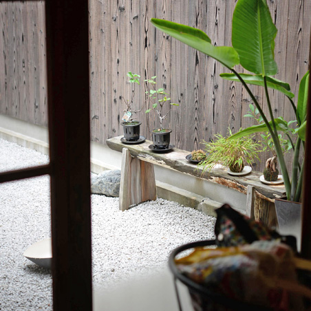 町家 Gallery cafe 龍の坪庭