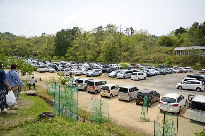 長谷園窯出し市の駐車場
